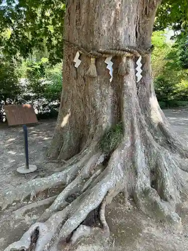 素鵞神社(茨城県)