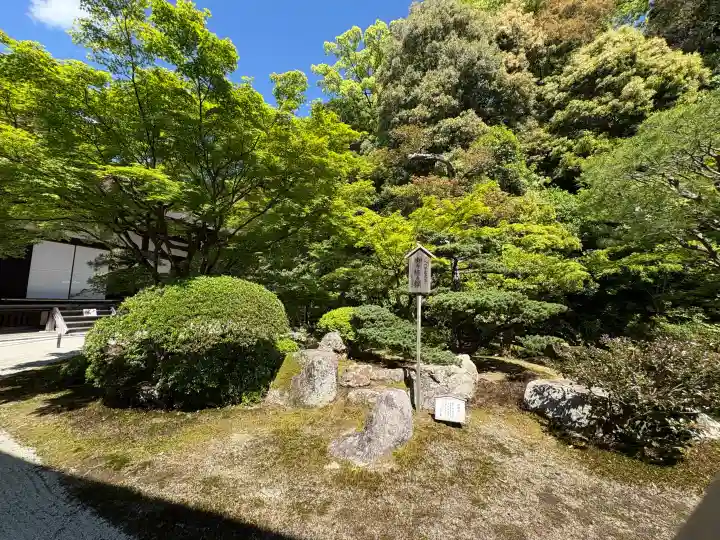 知恩院の{uncategorized: "未分類", other: "その他", undefined: "問題あり", building: "その他建物", grave: "お墓", sacred_gate: "鳥居", guardian: "狛犬", statue: "像", buddha: "仏像", history: "歴史", nature: "自然", garden: "庭園", animal: "動物", pagoda: "塔", temizu: "手水舎", mountain_gate: "山門・神門", sanctuary: "本殿・本堂", subordinate: "末社・摂社", art: "芸術", scenery: "景色", jizo: "地蔵", ema: "絵馬", goshuin: "御朱印", omikuji: "おみくじ", items: "授与品その他", amulet: "お守り", goshuincho: "御朱印帳", eats: "食事", festival: "お祭り", votive_dance: "神楽", shichigosan: "七五三参", wedding: "結婚式", experience: "体験その他", initially: "初詣", around: "周辺", anti_infection: "感染症対策"}