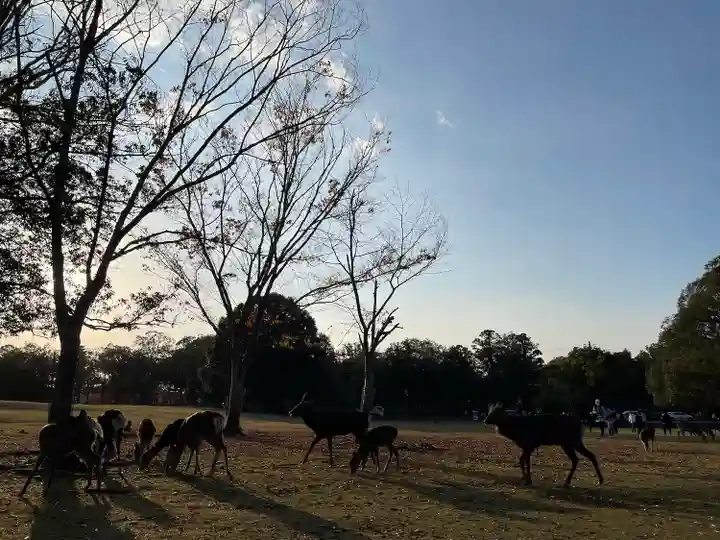 興福寺 五重塔の動物