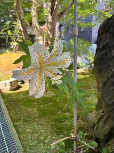 珍蔵寺　(山形県)