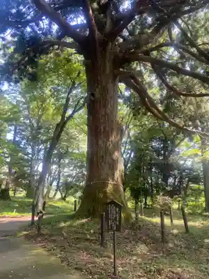白河神社(福島県)