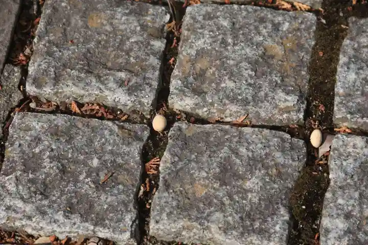 滑川神社 - 仕事と子どもの守り神の体験その他