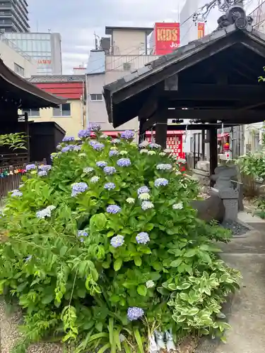 三輪神社の庭園