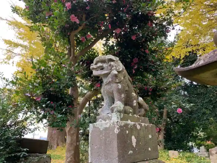 八雲神社の狛犬