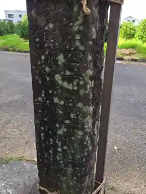 豊由氣神社　(静岡県)