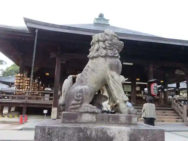 智恩寺(京都府)