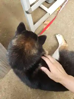 上目黒氷川神社(東京都)