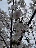 松隣寺(兵庫県)