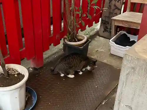 讃岐小白稲荷神社(東京都)