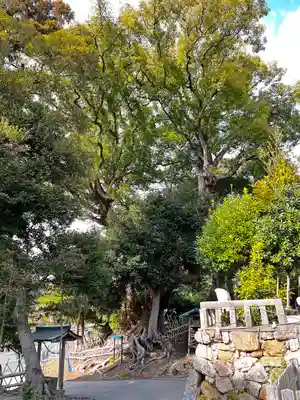 賀久留神社のその他建物