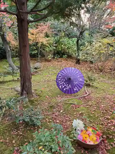 勝林寺の庭園