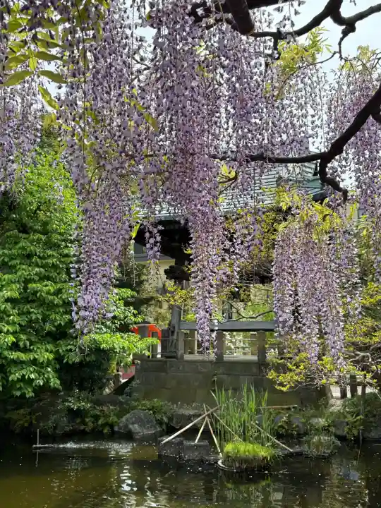 西新井大師総持寺の{uncategorized: "未分類", other: "その他", undefined: "問題あり", building: "その他建物", grave: "お墓", sacred_gate: "鳥居", guardian: "狛犬", statue: "像", buddha: "仏像", history: "歴史", nature: "自然", garden: "庭園", animal: "動物", pagoda: "塔", temizu: "手水舎", mountain_gate: "山門・神門", sanctuary: "本殿・本堂", subordinate: "末社・摂社", art: "芸術", scenery: "景色", jizo: "地蔵", ema: "絵馬", goshuin: "御朱印", omikuji: "おみくじ", items: "授与品その他", amulet: "お守り", goshuincho: "御朱印帳", eats: "食事", festival: "お祭り", votive_dance: "神楽", shichigosan: "七五三参", wedding: "結婚式", experience: "体験その他", initially: "初詣", around: "周辺", anti_infection: "感染症対策"}