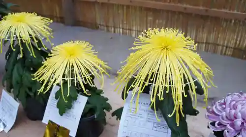 笠間稲荷神社(茨城県)