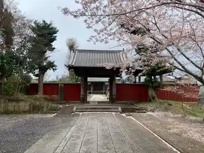 浄土寺の山門