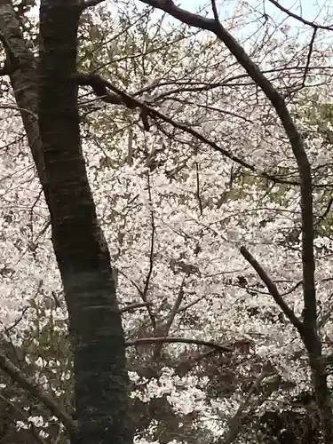 愛宕神社(茨城県)