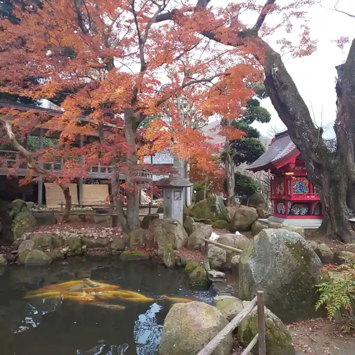 楽法寺(雨引観音)の庭園