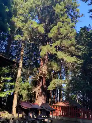 七崎神社(青森県)