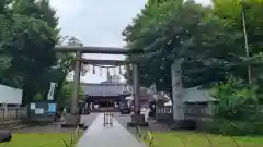 浅草神社の鳥居