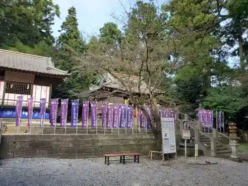 下野 星宮神社(栃木県)