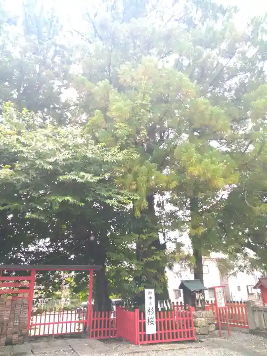 本宮神社の自然