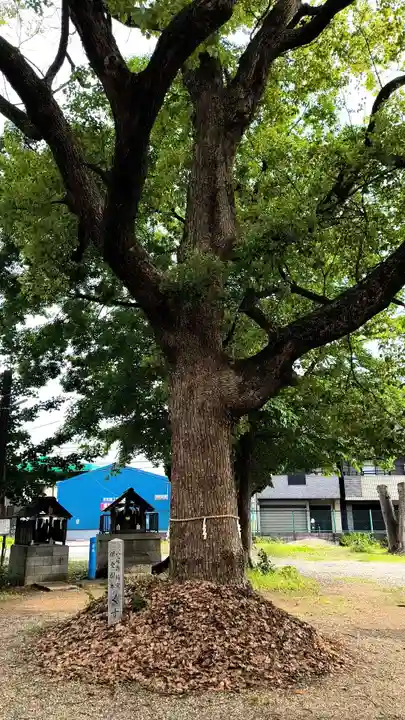 竹渕神社(大阪府)
