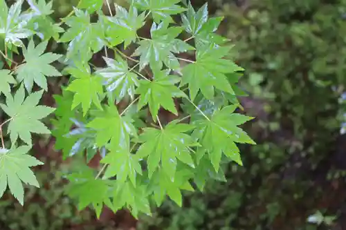一條殿 新善光寺(京都府)