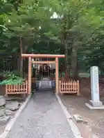 北海道神宮の鳥居
