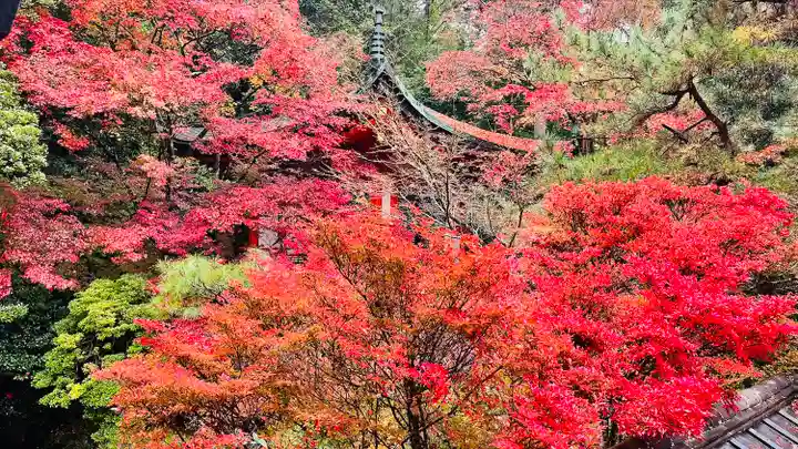 毘沙門堂門跡(京都府)