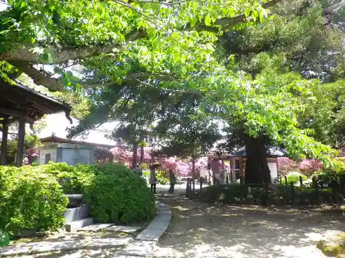 安養院　(田代寺）の庭園