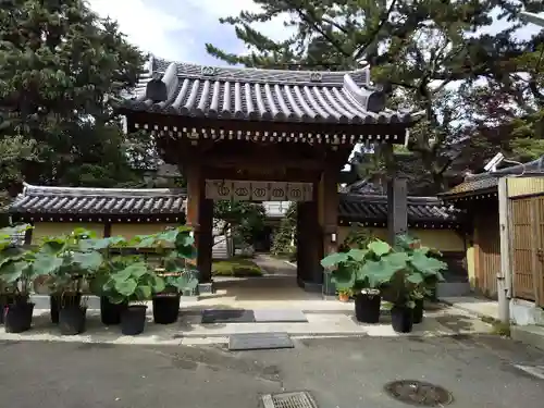 玄国寺の山門・神門