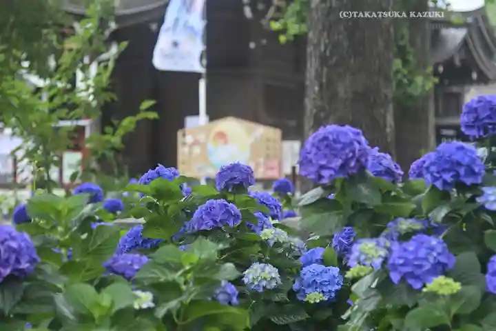 磐井神社の自然