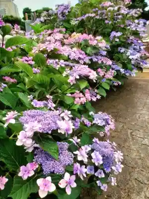 宝祥寺(東京都)