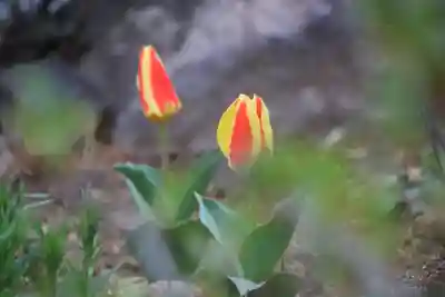 大鏑神社の庭園