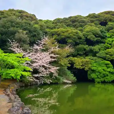 桜ヶ池池宮神社(静岡県)
