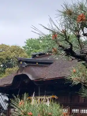 手力雄神社(岐阜県)