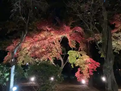 東漸寺(千葉県)