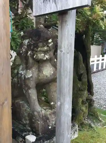 猿田彦神社の狛犬