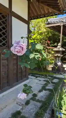 香雪院(京都府)