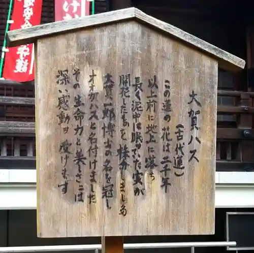 輪王寺両大師堂(寛永寺輪王殿)のその他建物