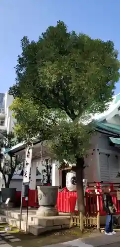 椙森神社(東京都)