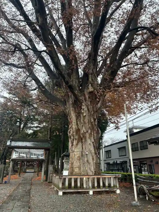 住吉神社(岩手県)