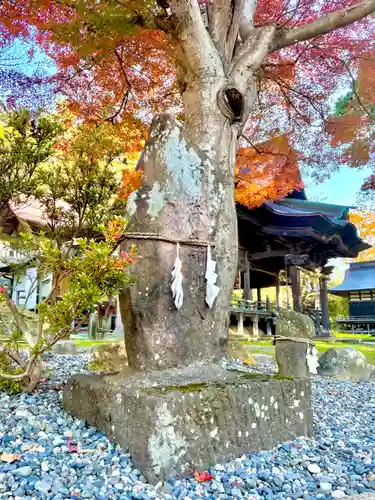蚊里田八幡宮(長野県)