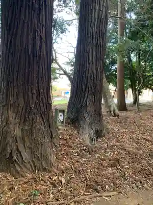 香取神社(茨城県)