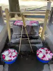 相模原氷川神社(神奈川県)