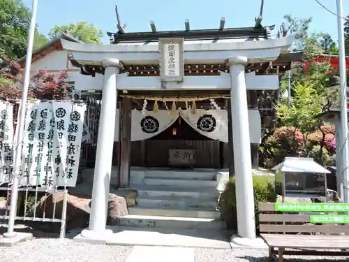 猿田彦神社の鳥居