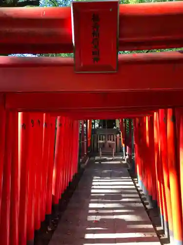 那古野神社の鳥居