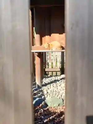 松姤社（熱田神宮摂社）の動物