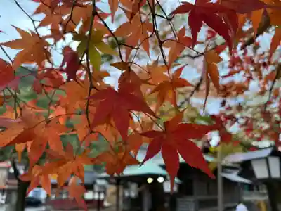 彌榮神社の自然