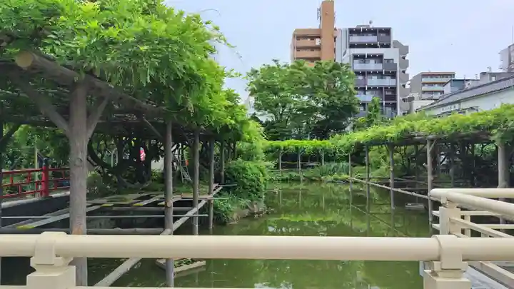 亀戸天神社(東京都)