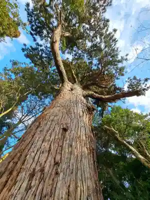 日吉神社(千葉県)